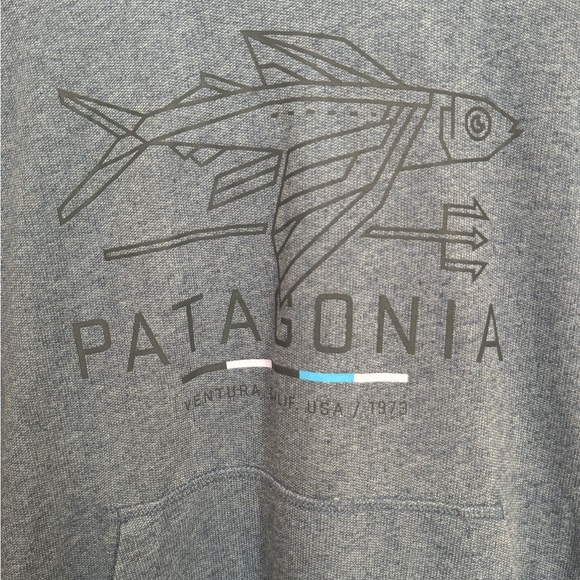 Patagonia Geodesic Flying Fish Lightweight Hoodie Men’s XS Sweatshirt Outdoors - Picture 2 of 5